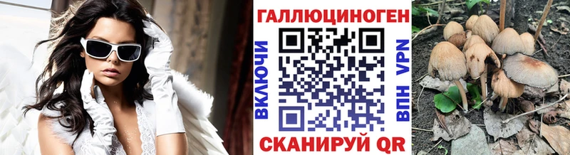Псилоцибиновые грибы GOLDEN TEACHER закладка Нижневартовск