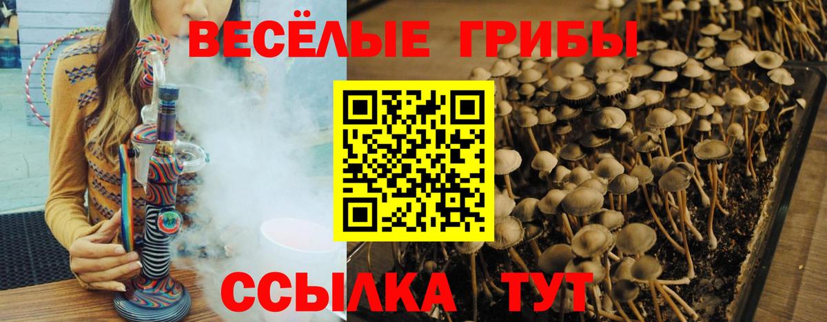 Галлюциногенные грибы мухоморы Нижневартовск