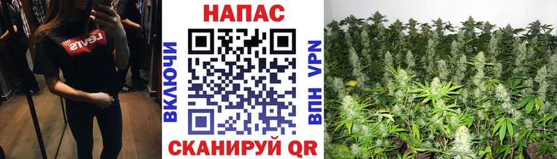 Бошки марихуана Ganja где найти наркотики нарко площадка телеграм Нижневартовск